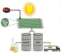 Helioculture